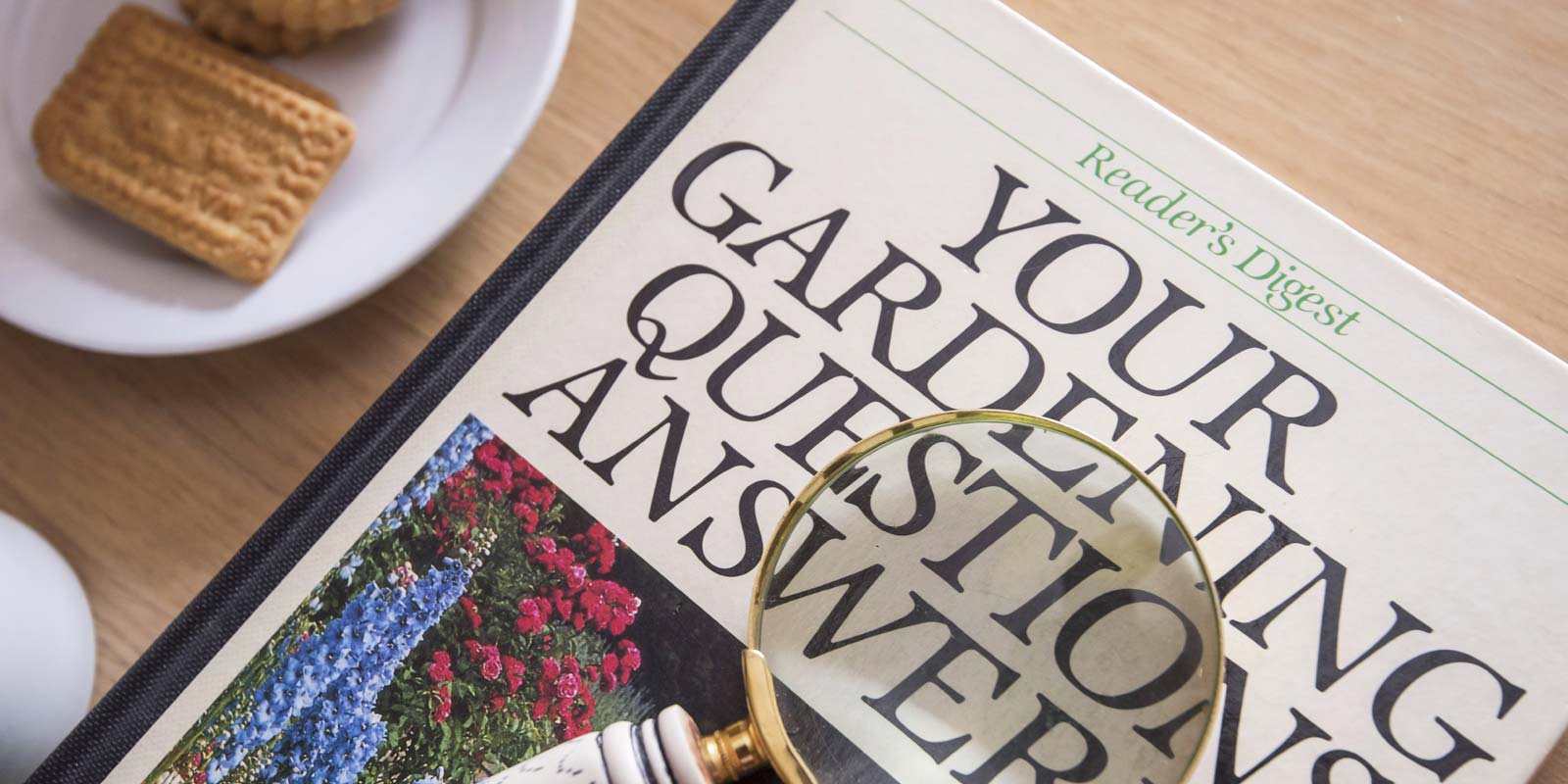 Carehome Photography Example