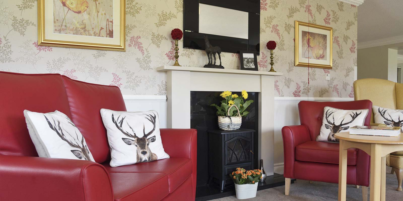 Carehome Photography Example